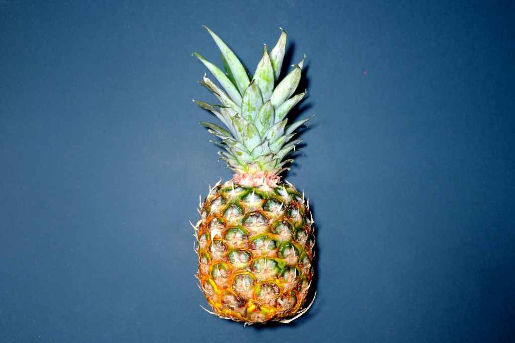 How to make keto pineapple smoothie
